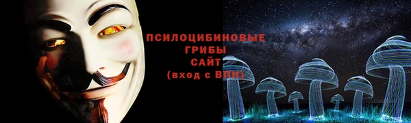 марки nbome Белокуриха