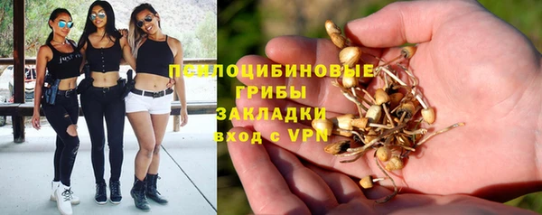 марки nbome Белокуриха