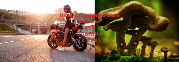 трава Балабаново