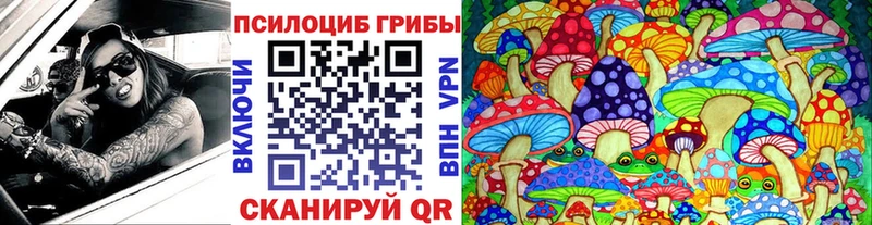 Псилоцибиновые грибы мицелий  Балтийск 